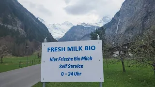 Lauterbrunnen Switzerland: Farm Fresh Milk 24/7 From A Vending Machine!