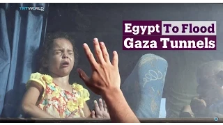 TRT World - World in Focus: Egypt to Flood Gaza Tunnels