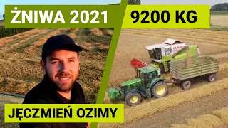 ŻNIWA 2021 - jęczmień ozimy | SY Dakoota | Toreroo | Wootan | Podlasie #shorts