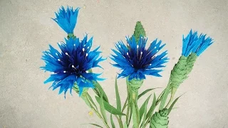 ABC TV | How To Make Cornflower Paper Flower From Crepe Paper - Craft Tutorial