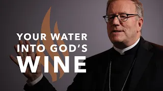 Your Water into God’s Wine - Bishop Barron's Sunday Sermon