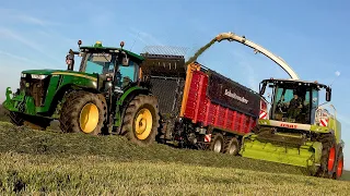 Gras 2023 : Egide London | John Deere 8320 | Claas Jaguar 990 | John Deere 8370R | grass silage