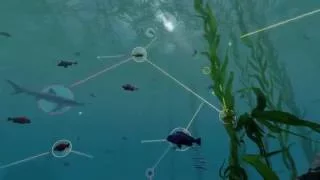 Exploring Ecosystems: Coastal Food Webs | California Academy of Sciences