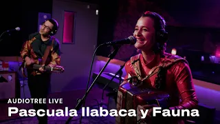 Pascuala Ilabaca y Fauna - El Baile del Kkoyaruna | Audiotree Live