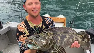 Line Peeling Fishing in Alaska for Big Fish! Halibut, Lingcod and Salmon Catching
