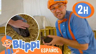 Blippi aprende sobre una alimentación saludable en la granja Tanaka! | Moonbug Kids Parque de Juegos