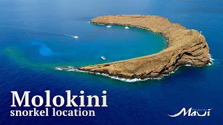 Molokini Crater Snorkeling | Pride of Maui Snorkel Locations