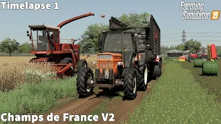 Bull is the New Animals in FS19, Making Wcs│Champs de France V2│FS 19│Timelapse#01