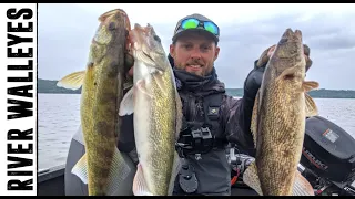 NON-STOP Walleye Fishing Action on Mississippi River