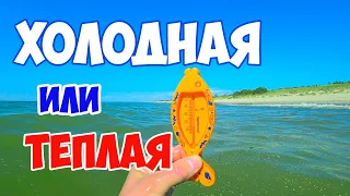 Калининград. Куршская коса. Температура воды в Балтийском море. Калининградская область