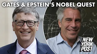 Bill Gates reportedly hoped Jeffrey Epstein would help him win a Nobel | New York Post