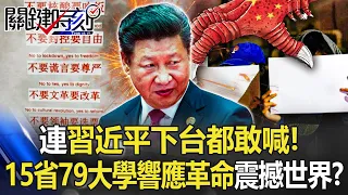 79 Universities in 15 Provinces of China Respond to the White Paper Revolution【English subtitles】