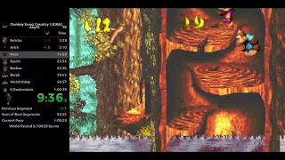 DKC3(GBA) - Any% Speedrun in 59:35 [WR]