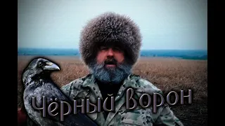 Донской казак Дрожжин С.Ф. "Чёрный ворон"