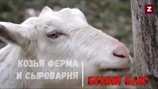 Козья ферма Бонни Блю