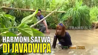 [FULL] JEJAK PETUALANG | HARMONI SATWA DI JAVADWIPA (03/11/20)