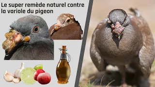 The super natural cure for pigeon pox