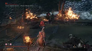 Seven Ashina Spears, second fight (only sword, no cheese)