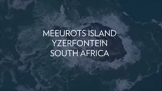 Yzerfontein Meeurots Island South Africa