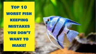 DON’T Make These 10 Fish Keeping MISTAKES! - Top Ten Most Common Fish Keeping Mistakes To Avoid