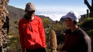 Kilian Jornet - Ascension du Kilimandjaro en courant