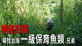 台灣消失全世界就沒了 即將從地球上消失的魚類 兄弟 @Nature_FlyFishing 【漁樂爽報】Fishing Fun NEWS EP141 #钓鱼 #釣り#streamfishing