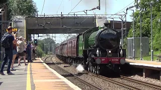 61306 'Mayflower'' powers through Hatfield Peverel with 1Z61 London Liv St-Norwich, 4/7/2019.