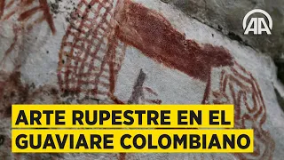 Un tesoro desconocido: las pinturas rupestres del Guaviare colombiano