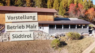 Heumilchbetrieb Mair in Südtirol - Stall auf 1.500 m Höhe