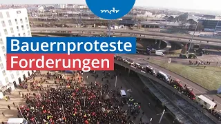 Bauern-Demos: Warum protestieren die Landwirte so vehement? | MDR SACHSEN-ANHALT HEUTE | MDR