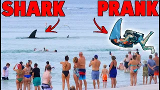 The Best Shark Prank Ever Filmed