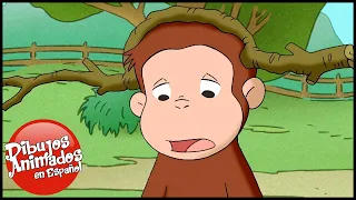 Jorge el Curioso en Español 🐵 La Carrera 🐵 Mono Jorge 🐵 Caricaturas para Niños