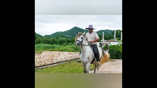 Neto Reis  o meu benzinho não chore não chore não.