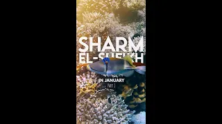 Sharm El-Sheikh -  Egypt in January - Part 1