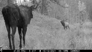 A junction of two valleys where bull moose and bull elk meet