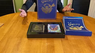 UNBOXING: Owlboy Limited Edition - (Rare Platforming Hidden Gem) - PS4