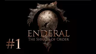 ДИВНЫЙ НОВЫЙ МИР | Прохождение Enderal: The Shards of Order #1