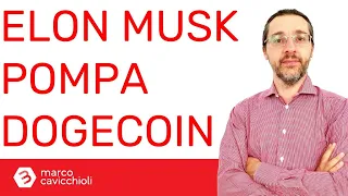 Elon Musk ha pompato il prezzo di Dogecoin con 1 tweet