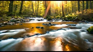 4K Relaxing Forest River Flow ☘️🌷For Deep Sleep, Studying, Meditation🌴
