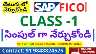 DAY 1- తెలుగులో SAP FICO డెమో| SAP FICO/HANA Introduction - SAP FICO Demo Class -  SAP Introduction