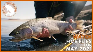 Five Flies for May 2021 | Fly Fishing Stillwaters in South Park Colorado