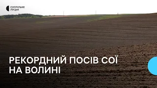 Сприятливі умови та приваблива економіка: на Волині цієї весни засіють рекордну площу під сою