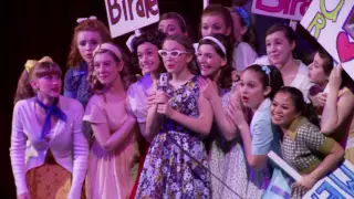 BYE BYE BIRDIE OPENING Stratford Playhouse