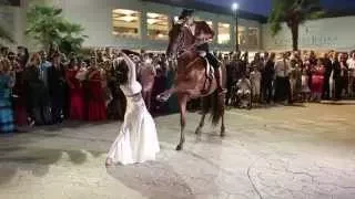Novia sorprende a invitados de bodas con un baile con un caballo