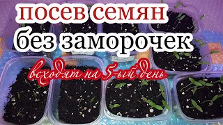 Выращивание Рассады Перца и Баклажанов. Посев Семян без заморочек | с Мариной Гусаковой