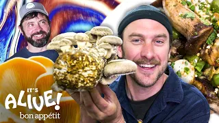 Brad Makes Smoked Mushrooms | It's Alive | Bon Appétit