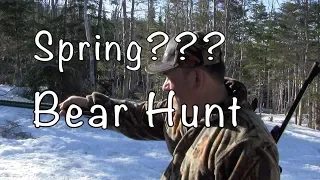 Spring Bear Hunting in over 4 FEET of SNOW