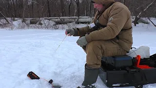 Ловля ПЛОТВЫ на БЕЗМОТЫЛКУ ! Зимняя рыбалка на мормышку!