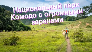 Национальный парк Комодо с огромными варанами