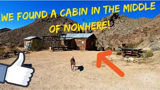 We found an old cabin in the middle of nowhere!